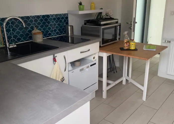 Le Moulin Blanc Appartement Castelmaurou